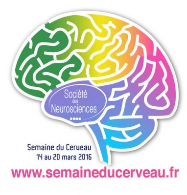 EN PANNE D'INNOVATION ? Ou comment le cerveau innove. - Bar des sciences 2016 - Montbéliard
