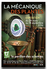 mecanique des plantes